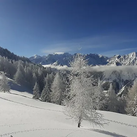 Appartamento Mountain *