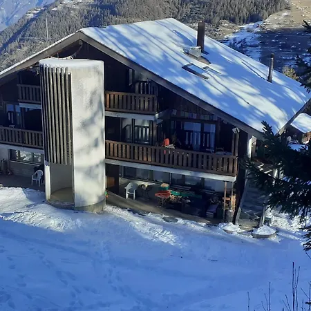 Mountain Verbier Skiing 公寓 *