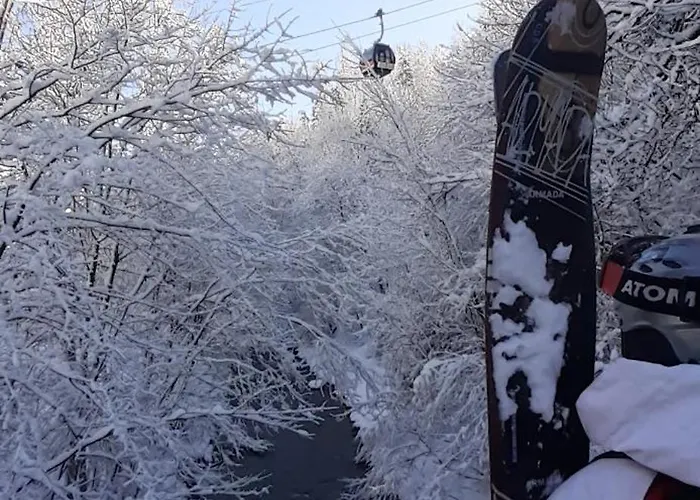 Apartamento Mountain La Tzoumaz